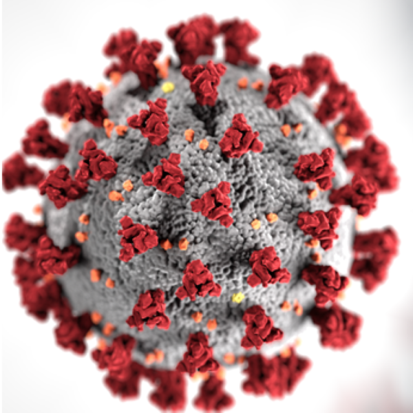 Basic facts about coronavirus