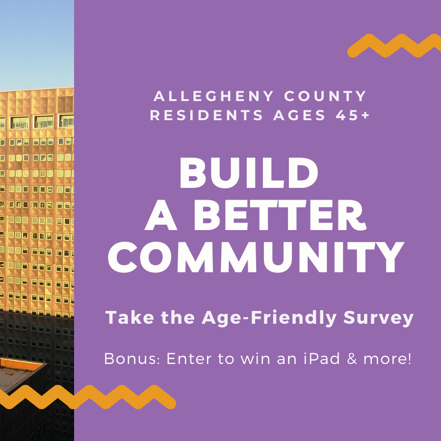 Age-Friendly Survey graphic