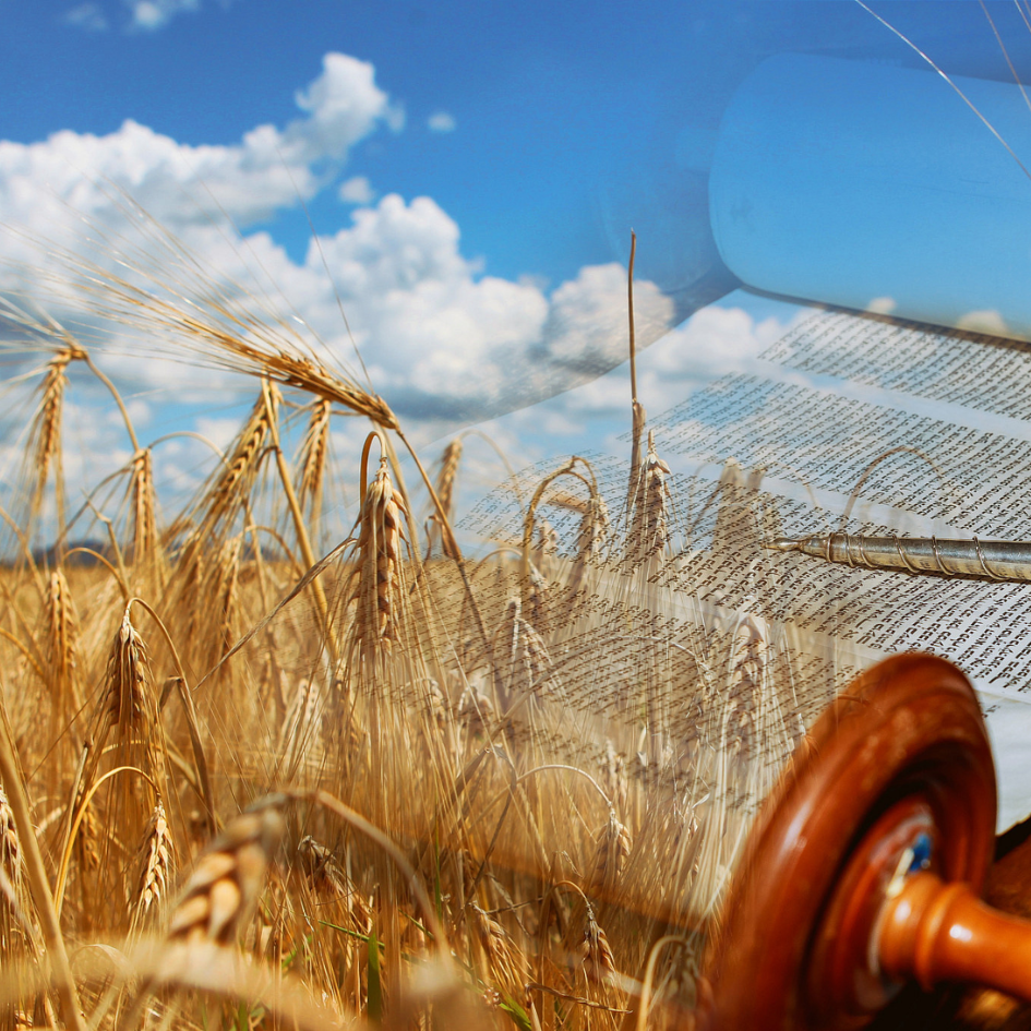 Rabbi Small’s Monthly Message- June ’25