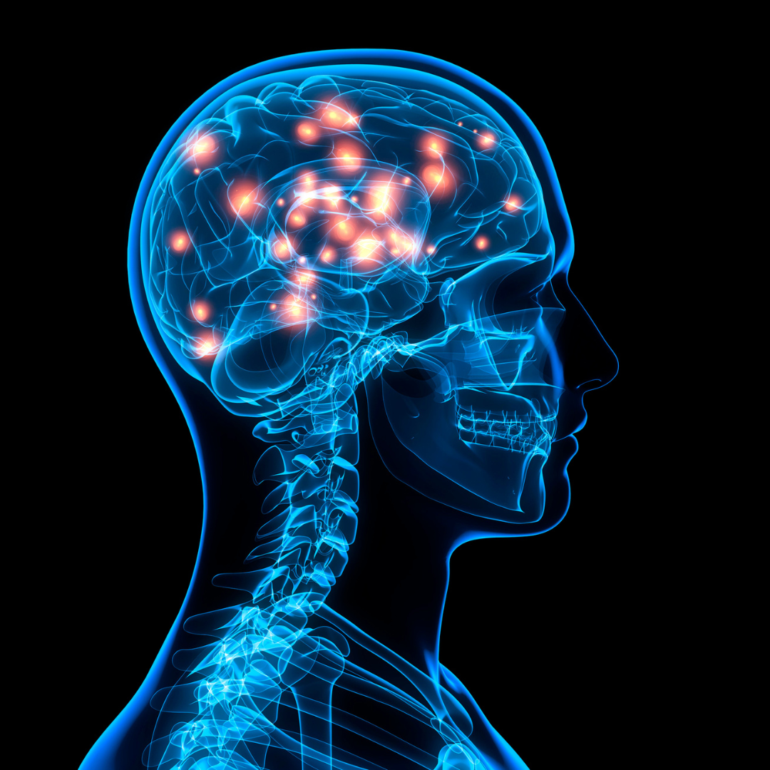 July 22: World Brain Day