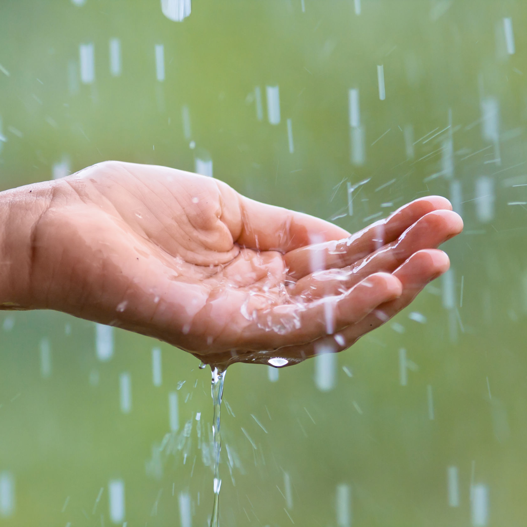 Rabbi Small’s Monthly Message: November